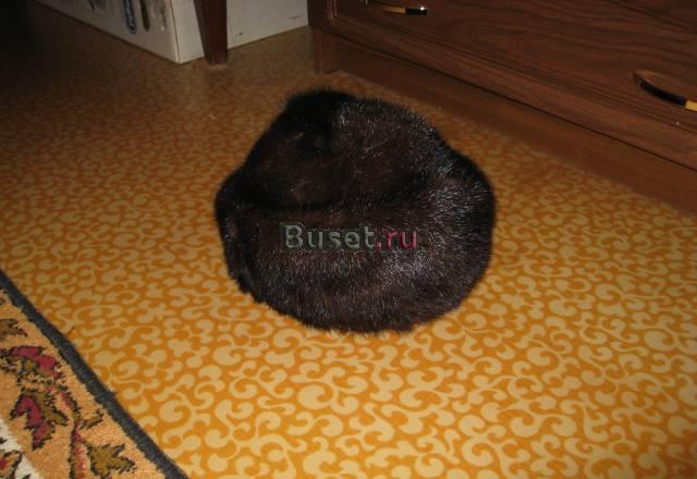 Шапка норковая Москва