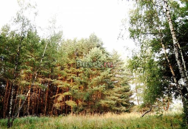Участок в лесу у родника в к/П от собственника Заокский
