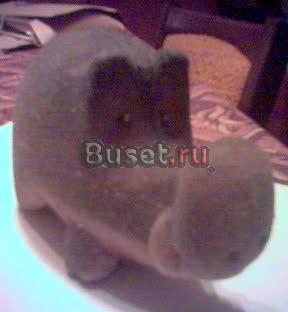 Тамада.синтезатор.гитара.дискотека.весело Санкт-Петербург