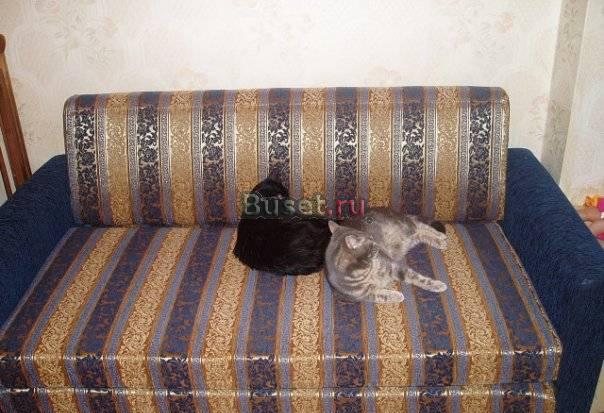 Диван(раскладывается вперед) Санкт-Петербург