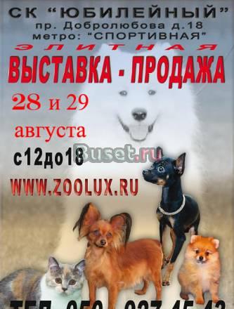Выставка-Продажа породистых Котят и Щенков 28 и 29 Санкт-Петербург