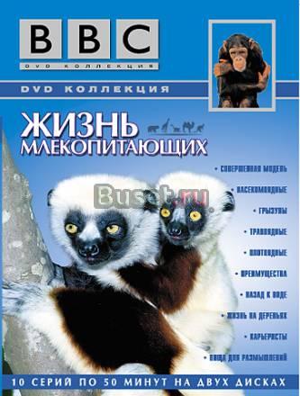 Фильм BBC "Жизнь млекопитающих" Москва