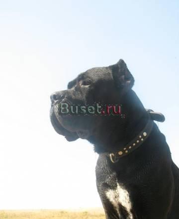 Элитный мальчик для вязок Волгоград