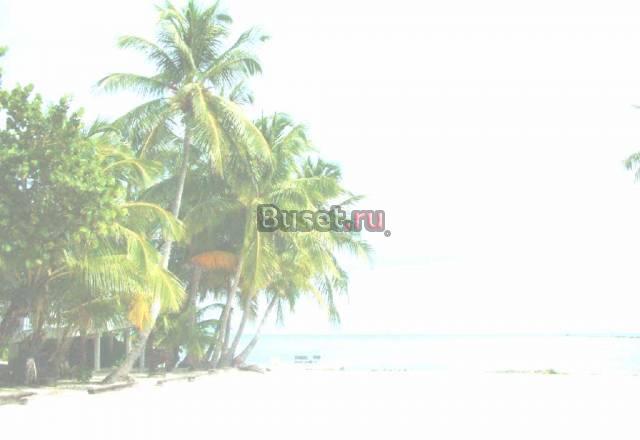 Куплю плеер iPod Москва