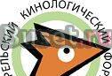 Собаки в Карелии Петрозаводск