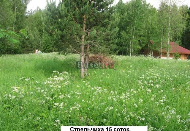 15с+.в бору.Вблизи залива Волги.145Дмит.ш Москва