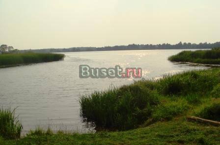19 соток в д. Белое в 200 м от р. Волга Кимры