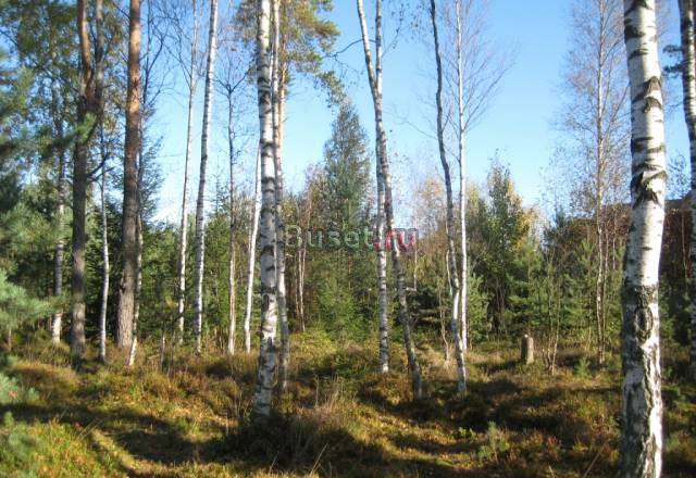 Участок за пос."Песочный",15км от спб Санкт-Петербург