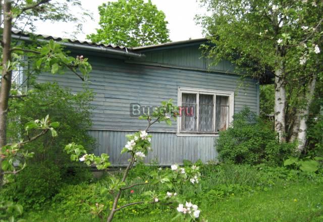 Грузино,сад-во Ленфильм Санкт-Петербург