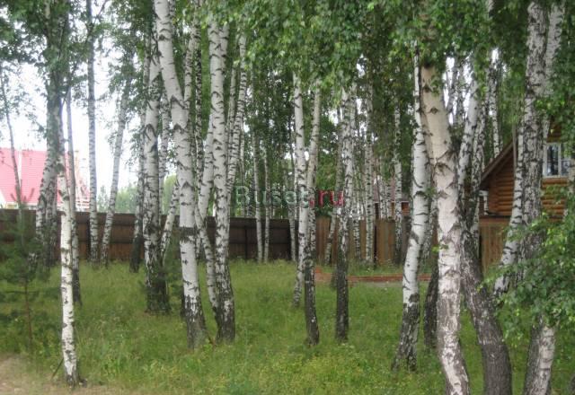 Участки в д.Поповка.Березовая роща (55 км) Москва