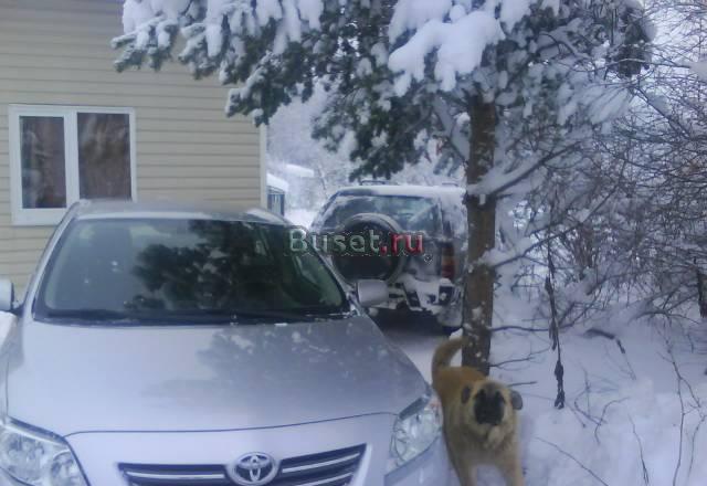 Помощь в продаже  Фотографирую,реклама Санкт-Петербург
