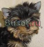 Девочка Москва
