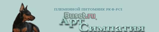Предлагаем Щенков Миниатюрных собачек Москва