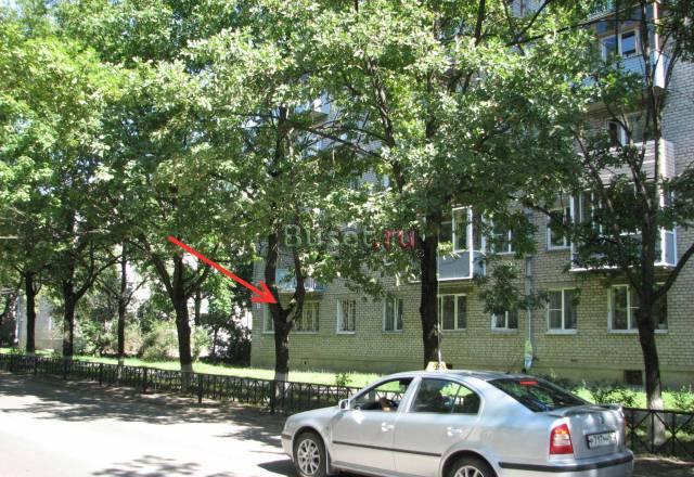 Две квартиры под магазин или офис Волхов