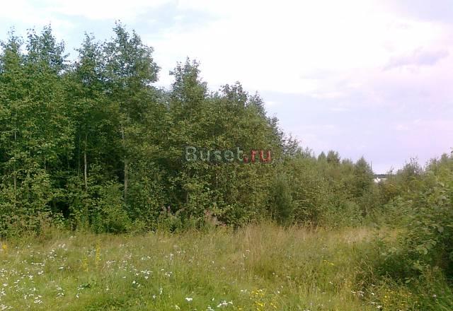 Участок в п. Куйвози, Всеволожский р-н Санкт-Петербург