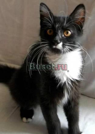 Василий Васильевич Москва