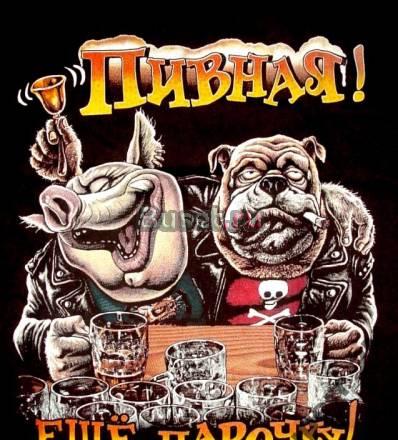 футболка с прикольным рисунком / пивная  парочку Москва