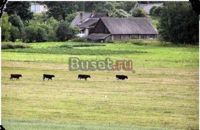 Работа в  фермерском хозяйстве Санкт-Петербург