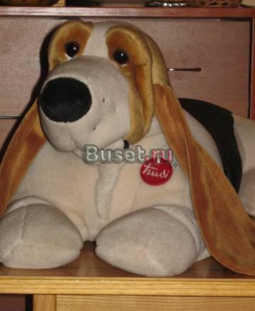 Куплю плюшевого бассета такого как на фото Москва