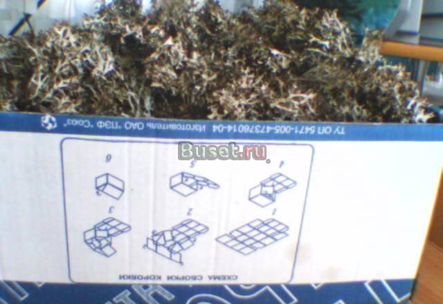 Исландский мох-общеукрепляющее средство Агрыз