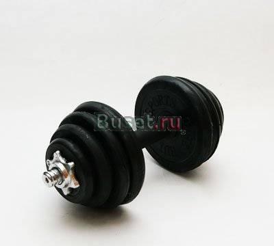 Гантели разборные по 17кг Санкт-Петербург