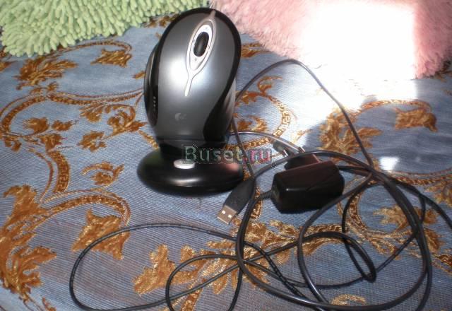 Мышь Москва