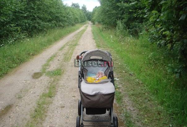 Отдам даром Санкт-Петербург