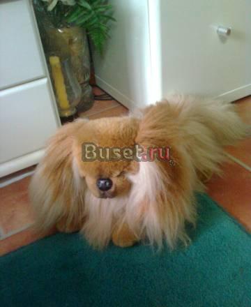 Пекинес. Мягкая игрушка. Либерти. Италия Москва