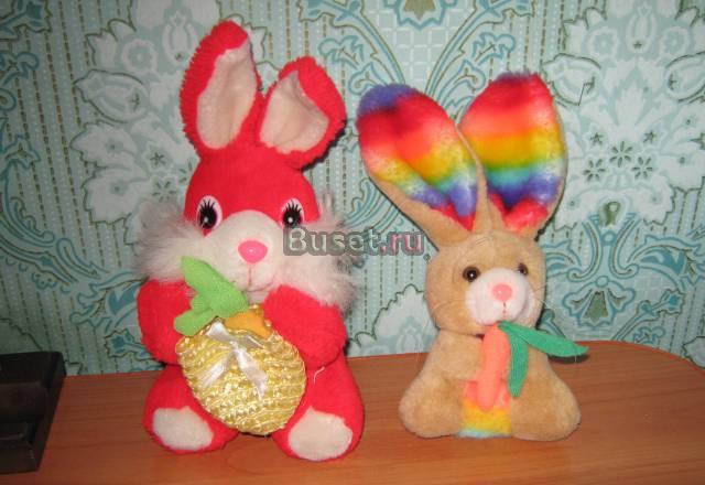 Зайчики Санкт-Петербург