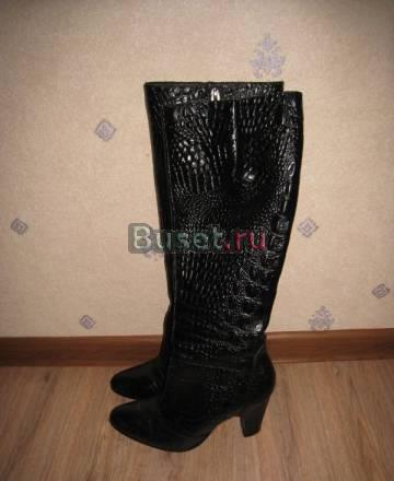Сапоги под крокодила Москва