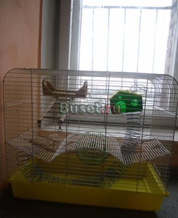 Продам клетку master-2 за 1200 руб Санкт-Петербург