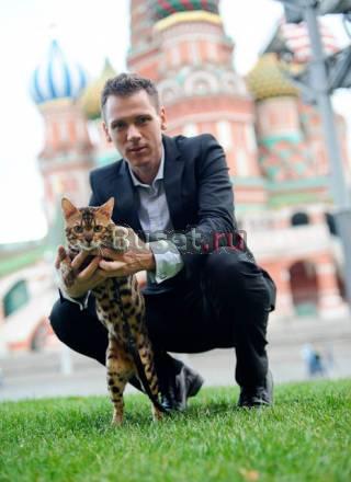 Бенгальские котята. Европейские чемпионы родители Москва