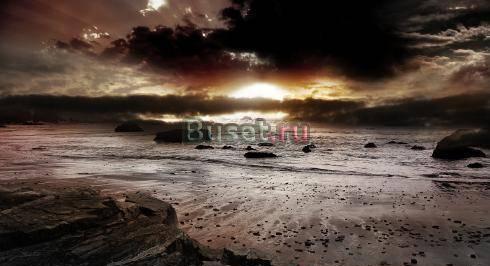 Йога и энергоинформационное развитие Санкт-Петербург