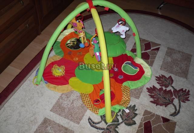 Развивающийся коврик Москва