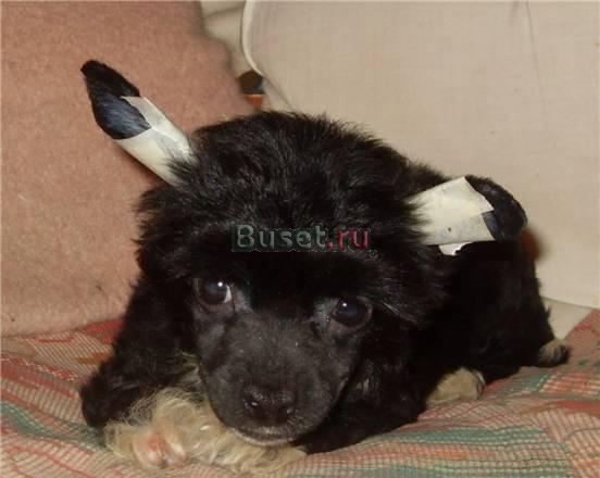 Распродажа Москва