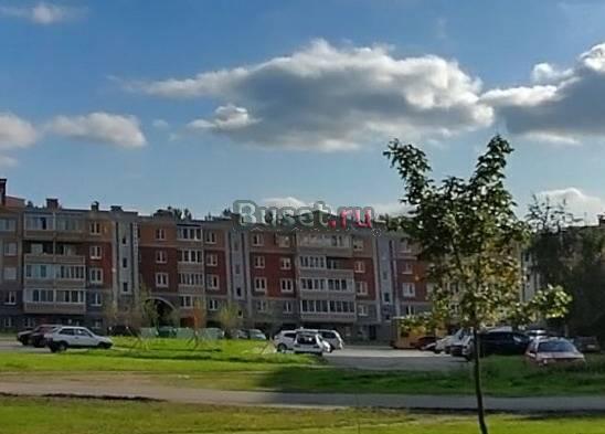 Продам бизнес действ. магазин в Коломягах, 1 этаж Санкт-Петербург