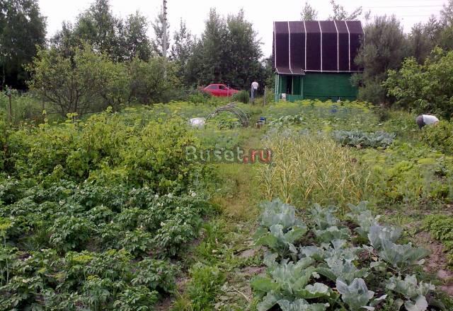 Продаю дачу30 км от МкадГорьковское ш Ногинск