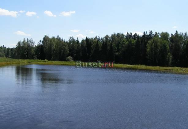 Участок в 29 км от МКАД, Ярославка, лес+озеро Москва