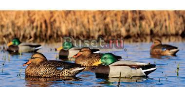 Утиные чучела Москва