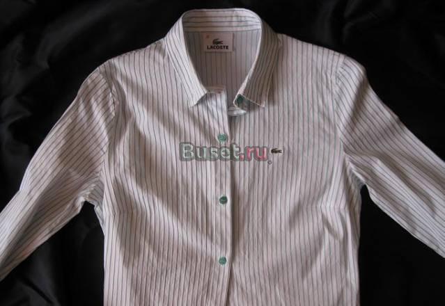 Блуза Lacoste Москва