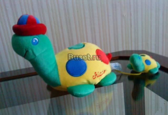 Черепаха Москва