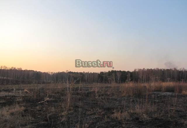 Нечаевские выселки, участок 28 соток Заокский