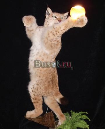 Чучело рыси -светильник Санкт-Петербург