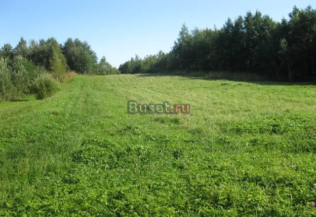 Участок  30 соток, в деревне. ижс, 350т.р Сясьстрой