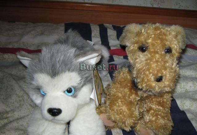 Мягкие игрушки-собаки (лайка и эрдельтерьер) Москва