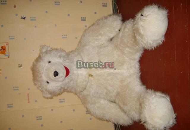 Медведь Москва