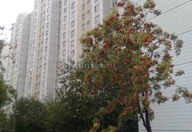 Сдам 1 к кв м.Чертановская (пешком 3мин) Москва