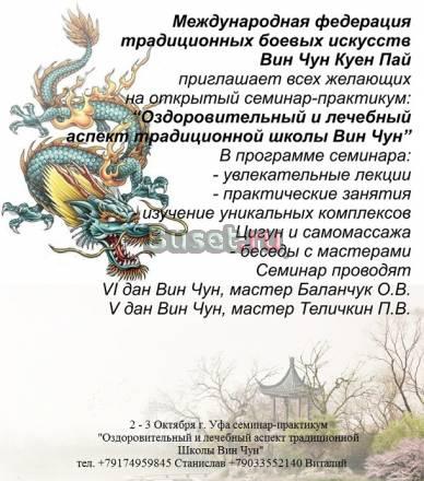 Семинары по вин чун кунг фу Казань