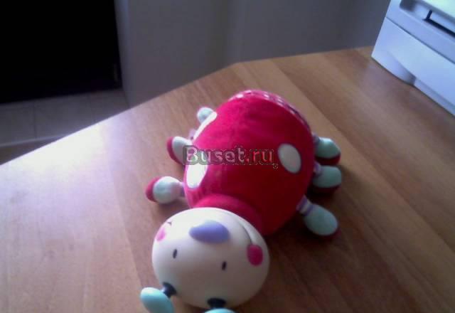 Боже корова Москва