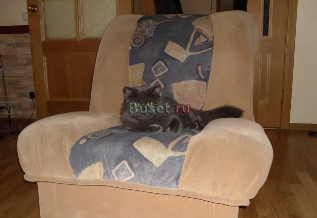 Кресло по цене стула Санкт-Петербург